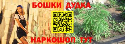 прущие грибы Чебаркуль
