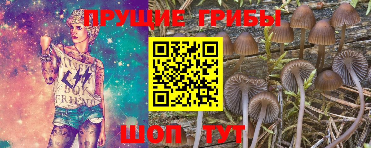 купить   Вход с VPN  Псилоцибиновые грибы мухоморы  Тавда  Псилоцибиновые грибы GOLDEN TEACHER 