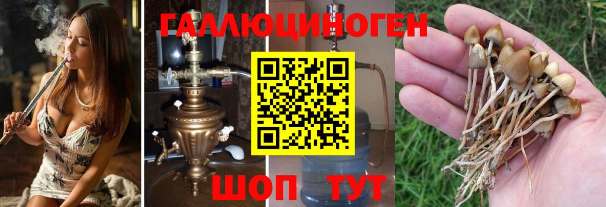 Галлюциногенные грибы MAGIC MUSHROOMS Тавда