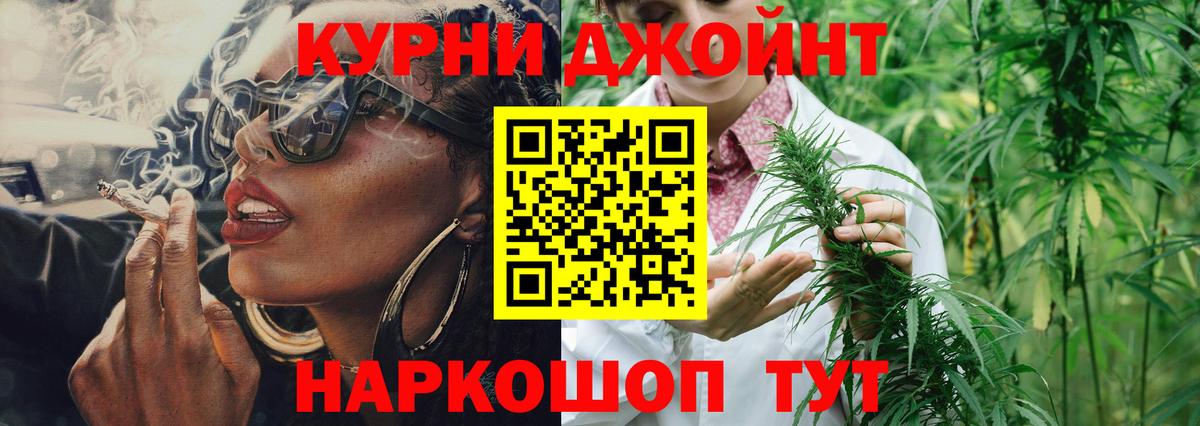 Тавда  Шишки марихуана планчик  Бошки марихуана OG Kush  Вход с VPN  Канабис сатива 
