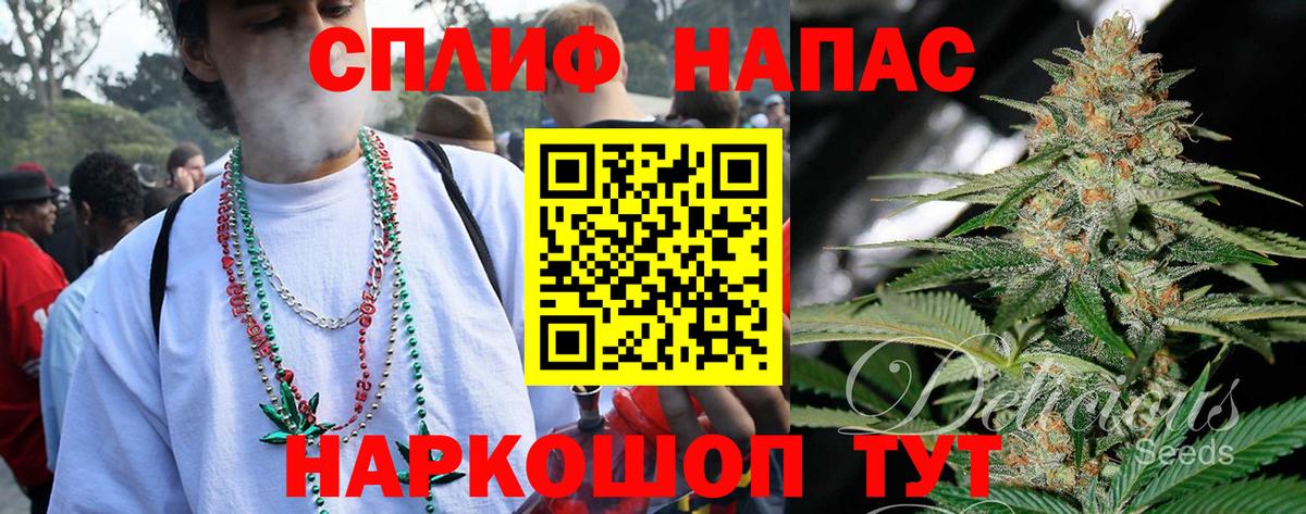 Каннабис планчик Тавда
